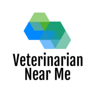 Veterinarian Near Me for Veterinarians in State University, AR